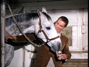 "Fred, meet Aspercel. Aspercel, Fred."