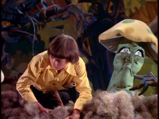 Where do people get off seeing psychedelic drug references in innocent children's fantasy involving some magic mushrooms?