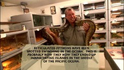 In "The Creepy Crawlies", animal wrangler Jules Sylvester shows off one of his snakes while "pop-up" trivia provides a semi-random fun fact.