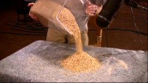Pouring cornmeal became a major part of the foley ant sounds, one of several things we learn in "Adventures in Post-Production."