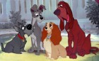 On February 28th, "Lady and the Tramp" will become the 7th entry in Disney's prized Platinum Collection. Click to read all about it.