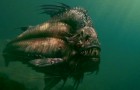 Piranha DVD Review