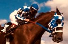 Secretariat Blu-ray + DVD Review