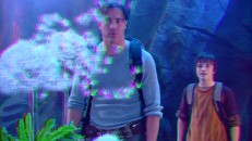 The 3-D version adds depth to the dandelions that's noticeable when you're wearing your red and blue glasses.