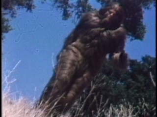 BAYABAA! You know Bigfoot (Ray Young) means business when the camera tilts for his slow-motion, crotch-centering Six Million Dollar Man run in "Bigfoot and Wildboy."
