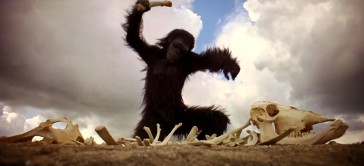 This ape makes a colossal discovery at the start of "2001: A Space Odyssey."