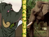 An elephant from the movie is compared to the real thing in "DisneyPedia: Junglemania!", easily the best bonus in the kiddie section.