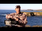 "Mowgli's Return to the Wild" catches up with Bruce Reitherman, the voice of Mowgli, who's still in film but is now making a different type of animal movie - the nature documentary.