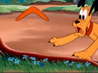 Pluto views an Australian boomerang with suspicion in "Mickey Down Under."