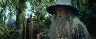 The wizard Gandalf (Ian McKellen) lends his wisdom and power to the mission.
