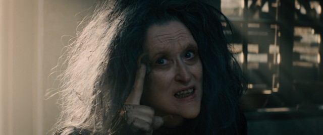 Meryl Streep earned her record nineteenth Academy Award acting nomination for her supporting performance as the Witch.