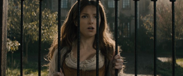Cinderella (Anna Kendrick) wishes to go to the festival.