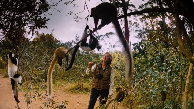 American primatologist Patricia Wright clearly enjoys her line of work and getting to observe various lemurs up close in Madagascar.