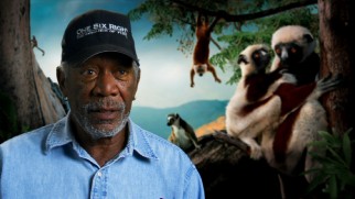 Narrator Morgan Freeman may not appear in the movie, but his on-camera comment is used in the first two bonus features.
