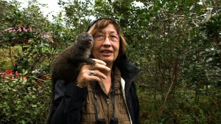 Primatologist Patricia Wright proudly displays a bamboo lemur, "The Cutest Lemur" according to the bonus short's title.