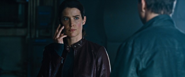 Cobie Smulders of television's "How I Met Your Mother" is asked to replace Rosamund Pike, Robert Duvall, Richard Jenkins, David Oyelowo, Werner Herzog and others as Tom Cruise's only co-star of note in "Jack Reacher: Never Go Back."