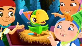 Skully's birthday/bird day festivities are short-lived, thanks as always to the Captain.