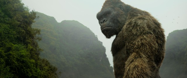 Kong stands tall and solemn as he watches outsiders enter Skull Island for the first time in decades.