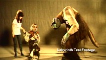 The documentaries' test footage excerpts illustrate some of the filmmakers' trials in character design.