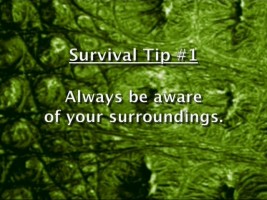 One of many survival tips the characters in "Lake Placid 2" should have adhered to.