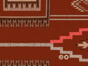 In the Navajo maze game, the up button will lead the Einsteins up one path (here highlighted in red), while the down button leads them in the opposite direction.