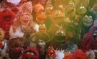 The Muppet Movie: Kermit's 50th Anniversary Edition DVD Review