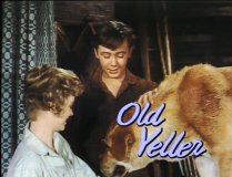 Old Yeller TV ad