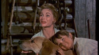 Katie (Dorothy McGuire) and Arliss (Kevin Corcoran) enjoy the company of the lop-eared mongrel.