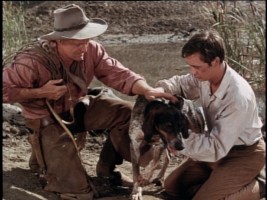 Old Who? Dad Who? In "Savage Sam", Travis has moved onto a new dog and a new father figure.