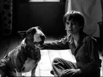 Victor (Barret Oliver) sits calmly next to his resurrected dog Sparky in Tim Burton's half-hour short "Frankenweenie."