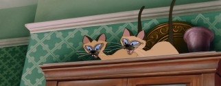 Whether you please or not, Si and Am are mischievous Siamese cats.
