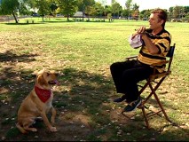 Fred Willard goes to the dogs in the entertaining "PuppyPedia."