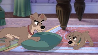 Sudden killjoy Tramp scolds his son Scamp for his playful ways.