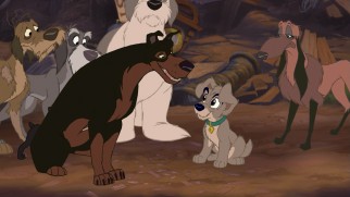 Buster decides Scamp must prove himself before being entered into his gang of junkyard strays.