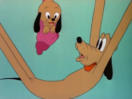 The curiosity Pluto Junior leads his father up to this clothesline.