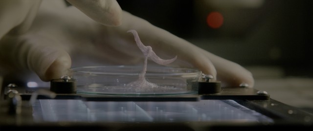 The tiny alien organism that a school names Calvin seems harmless and downright cute at first.