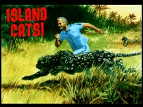 Marketing art for "Island Cats!", found in the Designs gallery, shows Steve running in the wild.