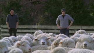 New Zealand's wool industry gives us a rare chance to see something other than skiing: sheep.
