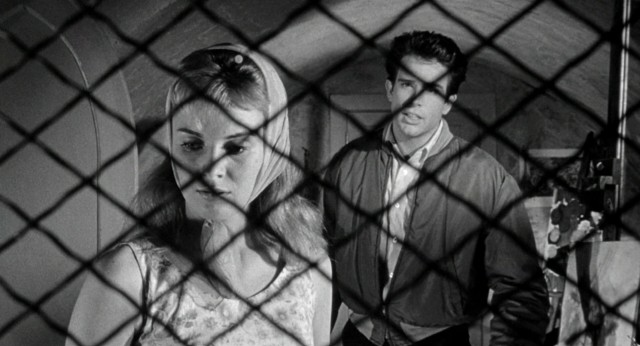 Occupational therapist Vincent Bruce (Warren Beatty) takes special interest in Lilith (Jean Seberg), the troubled young woman from whom this 1964 film takes its title.