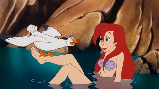 Scuttle the seagull has trouble figuring out what's different about Ariel. (She's got legs, you idiot!)