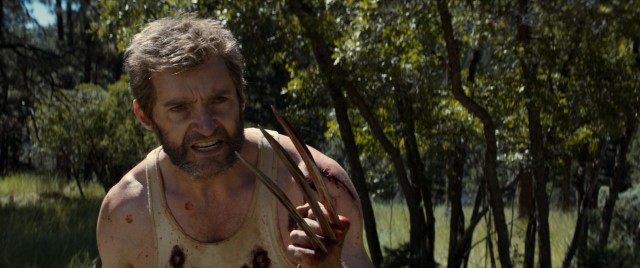 The hair matches the blades in the bloody "Logan", Hugh Jackman's final Wolverine movie.