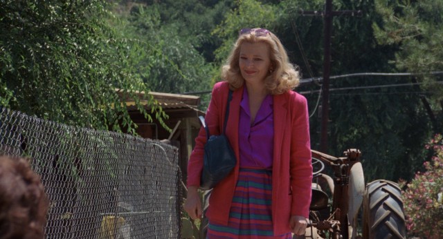 At an animal shelter, Sarah Lawson (Gena Rowlands) looks for the right pet to open her brother's heart.