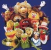The First Season of "The Muppet Show" will arrive on DVD as a 4-disc Special Edition from Disney this August.
