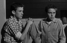 Walt Disney Treasures: The Hardy Boys DVD Review