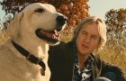 Marley & Me: 2-Disc Bad Dog Edition DVD Review