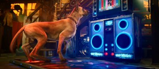 Hanging out with his fellow O.C. dog park mutts, Marmaduke plays Dance Dance Revolution, or rather some reasonable facsimile of it.