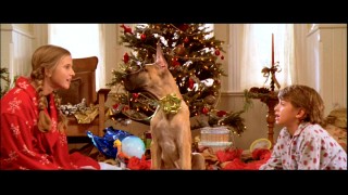 We learn the origin of Marmaduke's name in this brief deleted Winslow family Christmas clip featuring Barbara (Caroline Sunshine) and Brian (Finley Jacobsen).