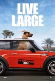 Marmaduke movie poster