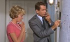 That Darn Cat! DVD Review