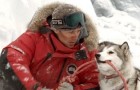 Disney's top-grossing film of 2006, the arctic drama "Eight Below" mushes to DVD on June 20th. Click for all the details.